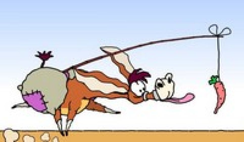 Журналист Алексей Николаев о реформе российской милиции:
полицейская "морковка" оказалась подпорченной - мечта о большой зарплате 
 рискует оказаться разбитой.