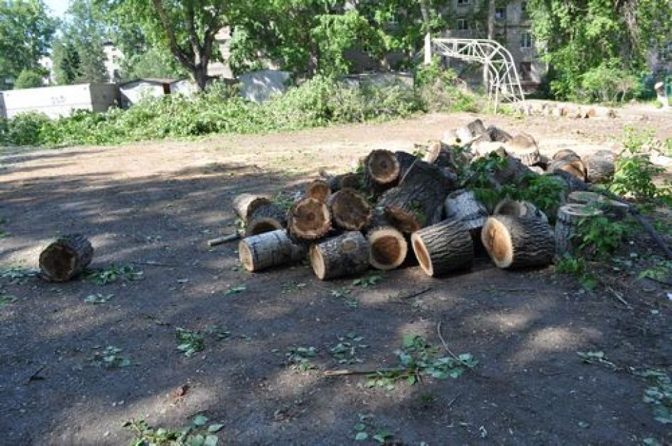 В центре Барнаула "вырубили" спортплощадку, построенную в своё
время с участием последнего выборного мэра города Владимира
Колганова. Фото.