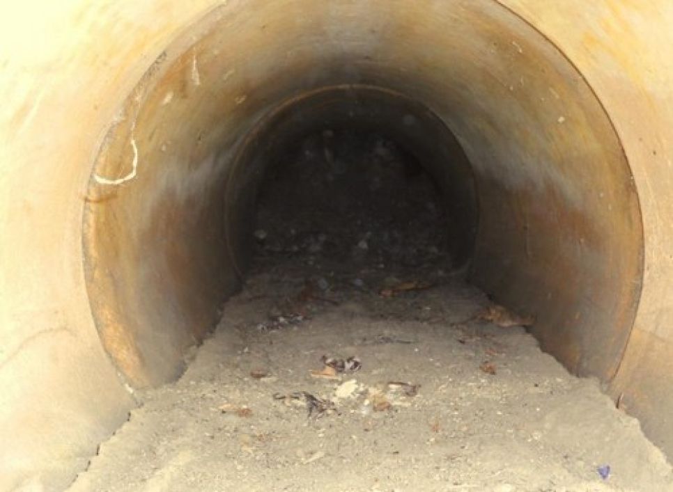 Общественник Николай Знагован просит руководство страны и Алтайского края
вывезти с территории промзоны Бийска опасный коллоксилин,
оставшийся после деятельности обанкротившегося оборонного завода
"Полиэкс".