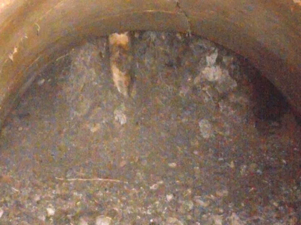 Общественник Николай Знагован просит руководство страны и Алтайского края
вывезти с территории промзоны Бийска опасный коллоксилин,
оставшийся после деятельности обанкротившегося оборонного завода
"Полиэкс".