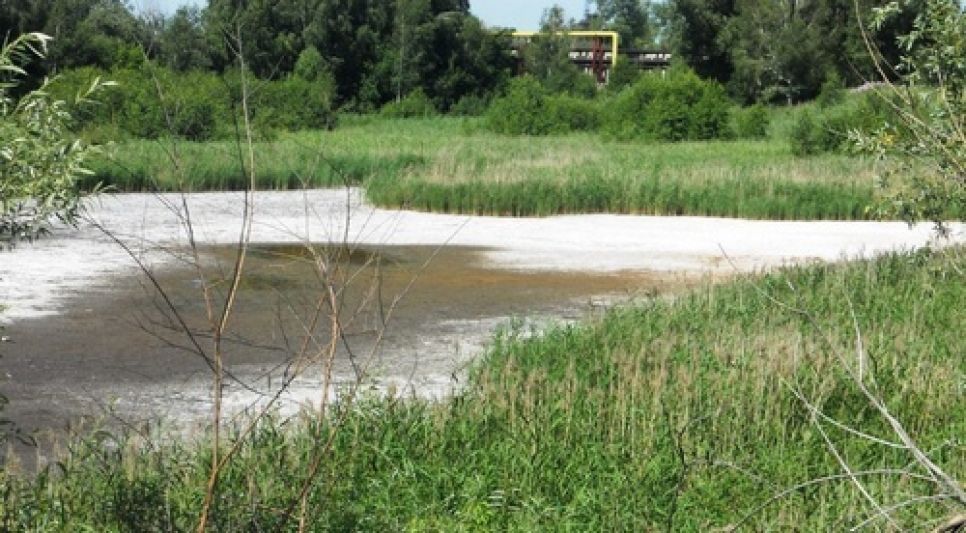 Общественник Николай Знагован просит руководство страны и Алтайского края
вывезти с территории промзоны Бийска опасный коллоксилин,
оставшийся после деятельности обанкротившегося оборонного завода
"Полиэкс".