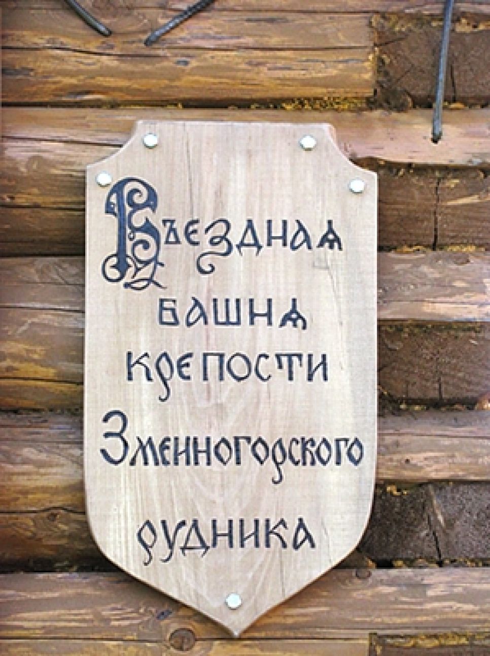 Десятиметровую деревянную смотровую башню возвели в
историческом центре Змеиногорска.