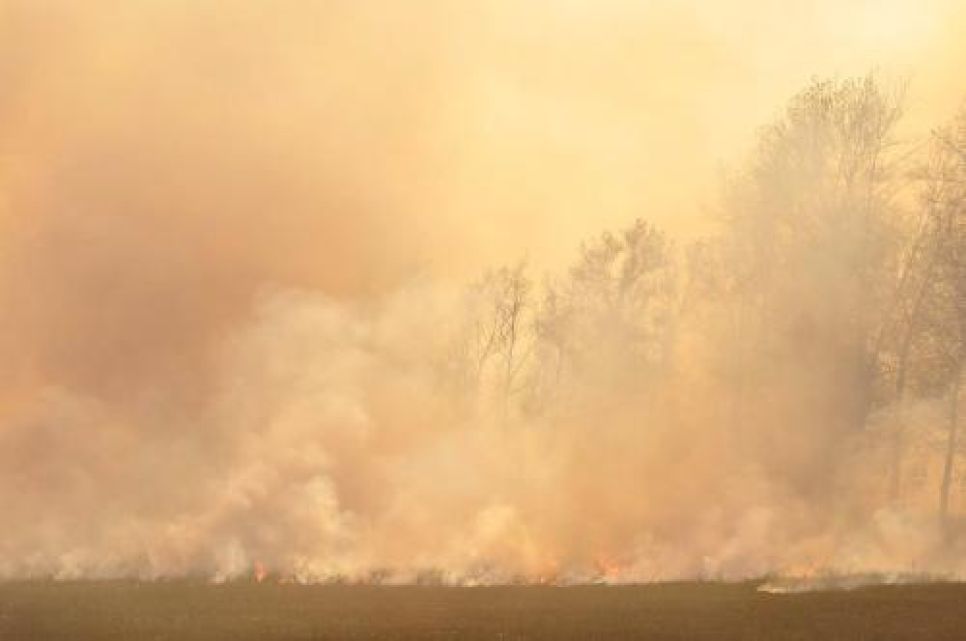 Геблеровское общество утверждает, что уничтожающие животный
мир сельхозпалы приобрели в Алтайском крае повсеместное
распространение. Фото.