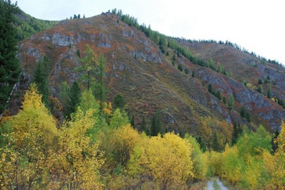 Михаил Задорнов: игорный бизнес на Алтае - то же самое, что
дискотека в храме.