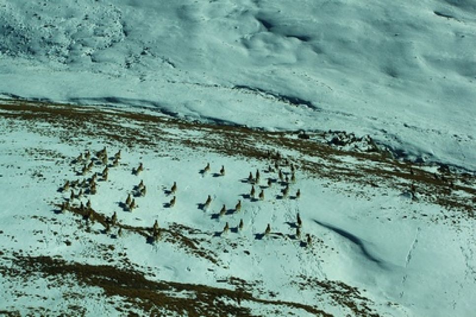 Михаил Задорнов: игорный бизнес на Алтае - то же самое, что
дискотека в храме.