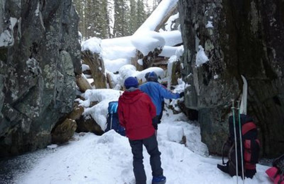 Кузбасские лыжники спустя 70 лет повторили легендарный поход
отшельников-староверов Лыковых. Фото.