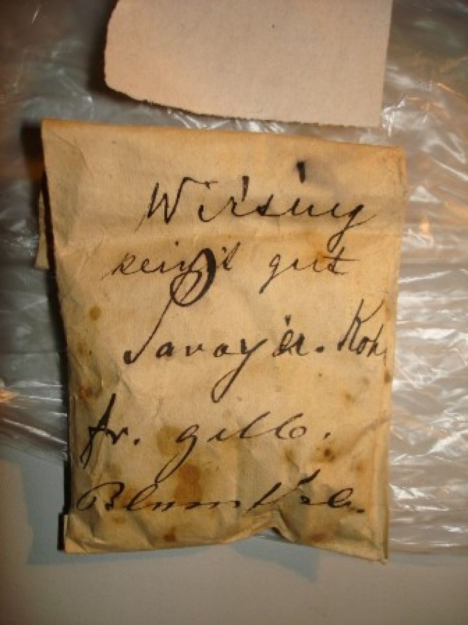 Немецкие семена, датированные 1902 годом, передали в дар
ботаникам Алтайского госуниверситета. Фото.