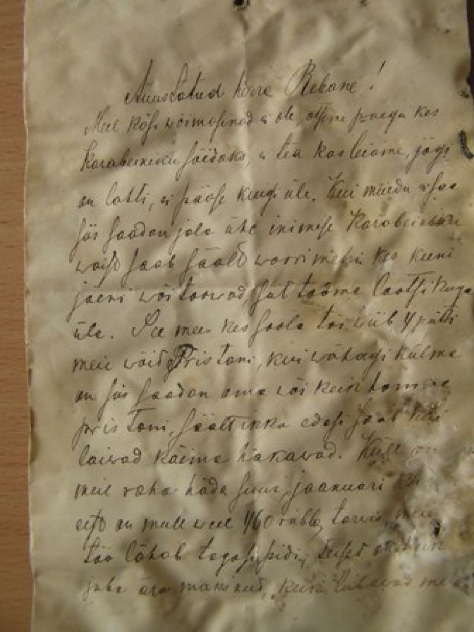 Немецкие семена, датированные 1902 годом, передали в дар
ботаникам Алтайского госуниверситета. Фото.