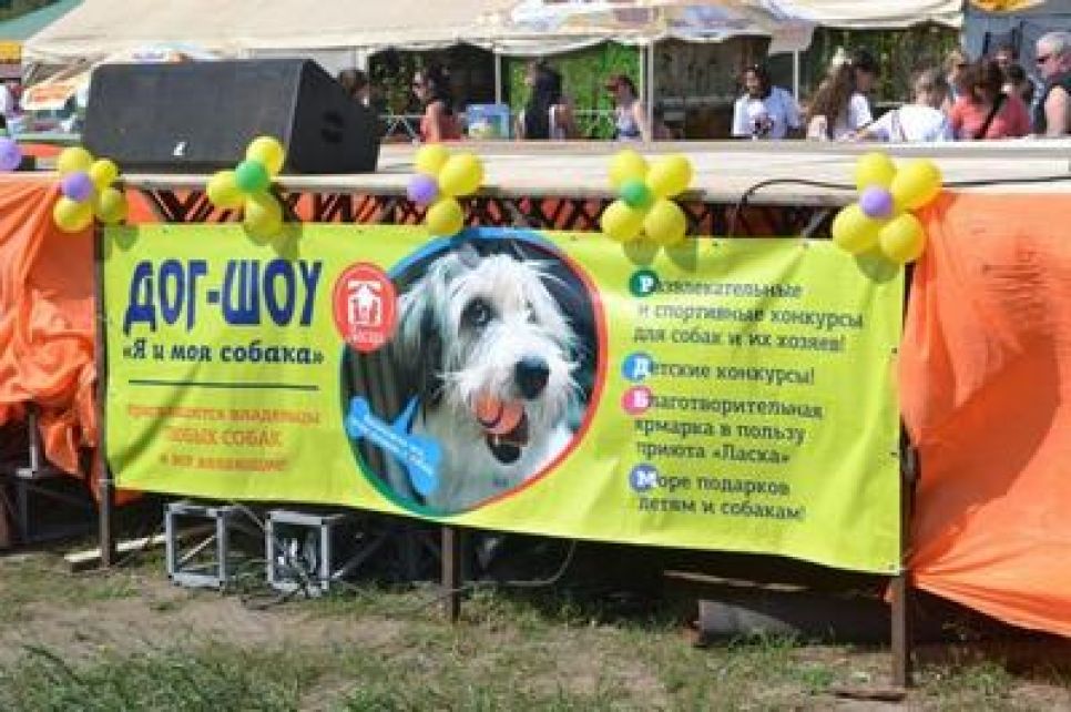 Дог-шоу "Я и моя собака" в Барнауле планируется сделать ежегодным.