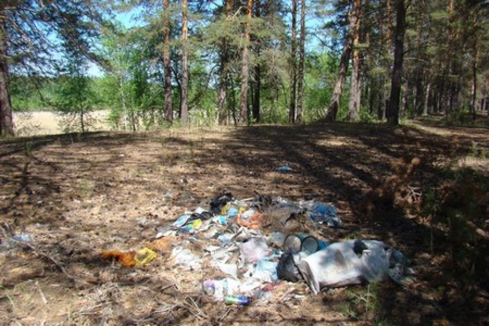 Накануне митинга в защиту реликтового бора в Егорьевском районе неизвестные подожгли дом депутата, активно выступавшего против незаконных 
рубок леса.