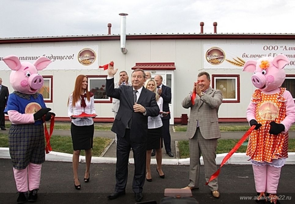 Мегасвинокомплекс "Алтаймясопрома" торжественно   открыли в Тальменском районе. Фото.