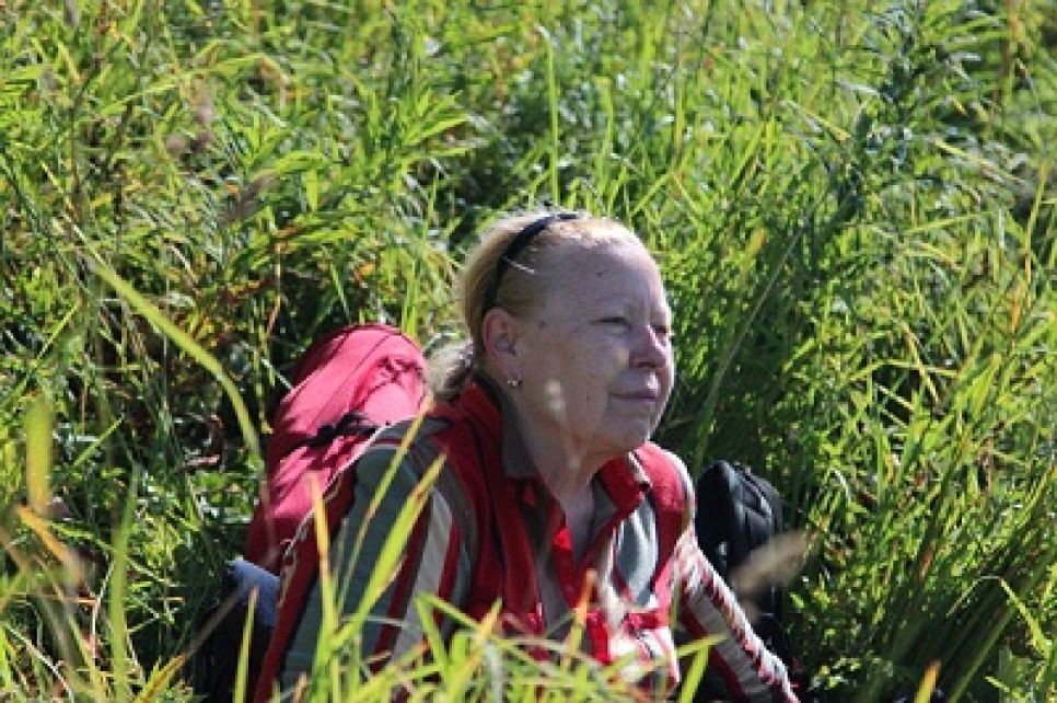 В республике Алтай МЧС прекратило поиски туристки, пропавшей две недели назад. Родственники готовы выплатить вознаграждение тому, 
кто сможет ее обнаружить.