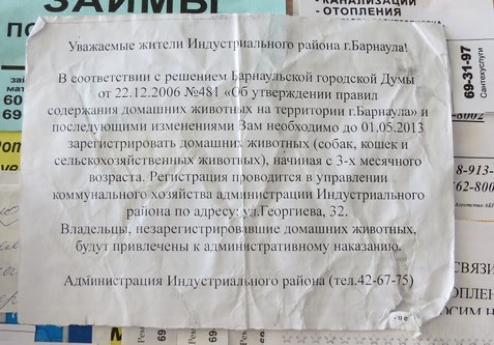 Власти Барнаула тщетно пытаются обязать горожан поставить "на учет" своих домашних животных.