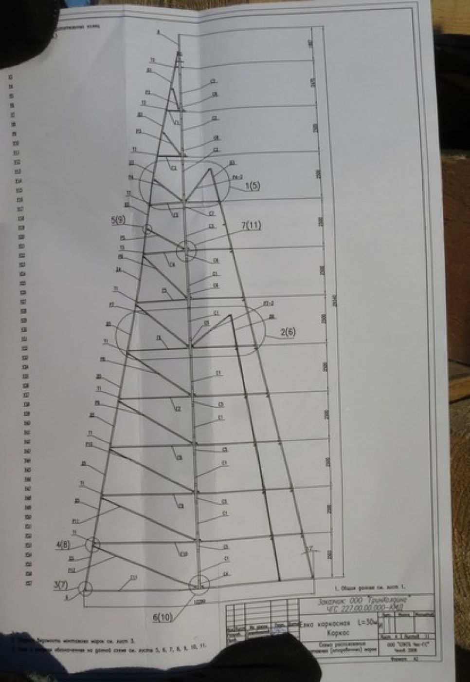 На площади Свободы в Барнауле началось возведение главной новогодней елки города. Фото.