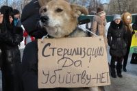 «Защитим бездомных от бездушных»: пикет против убийства бродячих собак собрал в Барнауле более 150 человек. Фоторепортаж