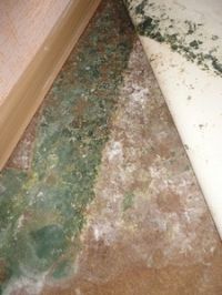 «Лучше снова в барак»: о проблемах жильцов «экспериментальных» домов в Бийске пишет «Российская газета»