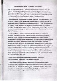 Президента России попросят защитить реликтовые леса Алтайского края