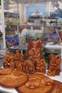 Новый руководитель ОАО «ОЭЗ» оценил «Бирюзовую Катунь» и «Алтайскую Долину»