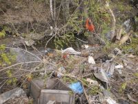 Росприроднадзор обнаружил в Барнауле кучи бытового мусора у реки Пивоварки