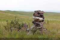 В Алтайском крае открыт для посещения природный заказник «Чарышская степь»