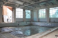 Бассейн алтайского «политеха» могут назвать «Лунный кот»