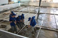 Бассейн алтайского «политеха» могут назвать «Лунный кот»