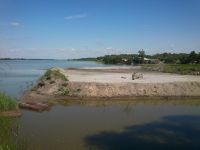 В Алтайском крае приступили к очистке озера, которое уже начало превращаться в болото