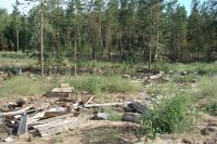 Защитники алтайских лесов о работе комиссии: это была не проверка<span style=