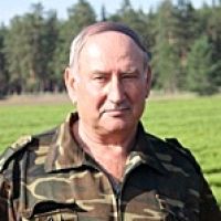 Компромисс с экологами или PR-кампания: управление лесами заявляет о создании в алтайских лесах неприкосновенных участков