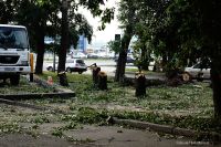 Помолясь и благословясь: в Бийске вырубают зеленую зону под строительство православного храма и парковки