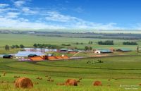 На Алтае за 20 млн рублей построят подъезд к туркомплексу «Конный двор»