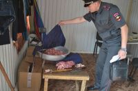Полицейские в поисках мигрантов-нелегалов устроили «облаву» на барнаульских рынках