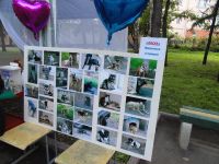 Приют «Ласка» проведет несколько акций к Международному дню защиты животных