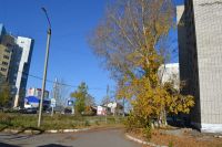 В Барнауле 23-летняя девушка разбила голову, упав в «приямок» у общежития Алтайской педакадемии