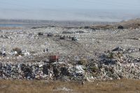 Муниципальные собственники показали<span style=