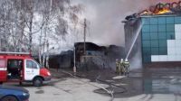 МЧС: пожар в районе Павловского тракта в Барнауле ликвидирован