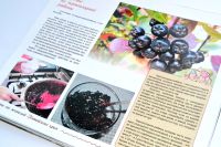 В Алтайском крае издадут книгу местных рецептов