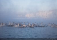 Стаи лебедей прилетели на зимовку в Алтайский край