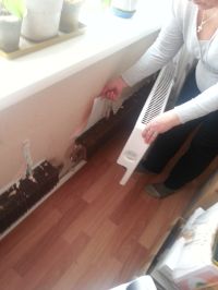 Ничего энергоэффективного: жильцы инновационного квартала в Бийске показали, как разрушаются их дома