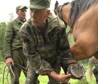 Один из главных героев фильма Василий Плесовских, крестьянин из деревни Замульта