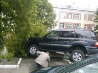 Барнаульская автоледи на Toyota Land Cruiser сбила дерево и ретировалась с места ДТП