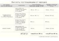«Когда-нибудь... к Новому году»: жители Быстрого Истока не знают, как добиться обещанных за паводок компенсаций