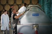 Гендиректор «Алтайспиртпрома» Владимир Вагнер: «До конца года с виноградниками на Алтае ничего не случится»