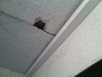 «Собачья конура лучше»: ОНФ проинспектировал дома для переселенцев в Бийске и Барнауле