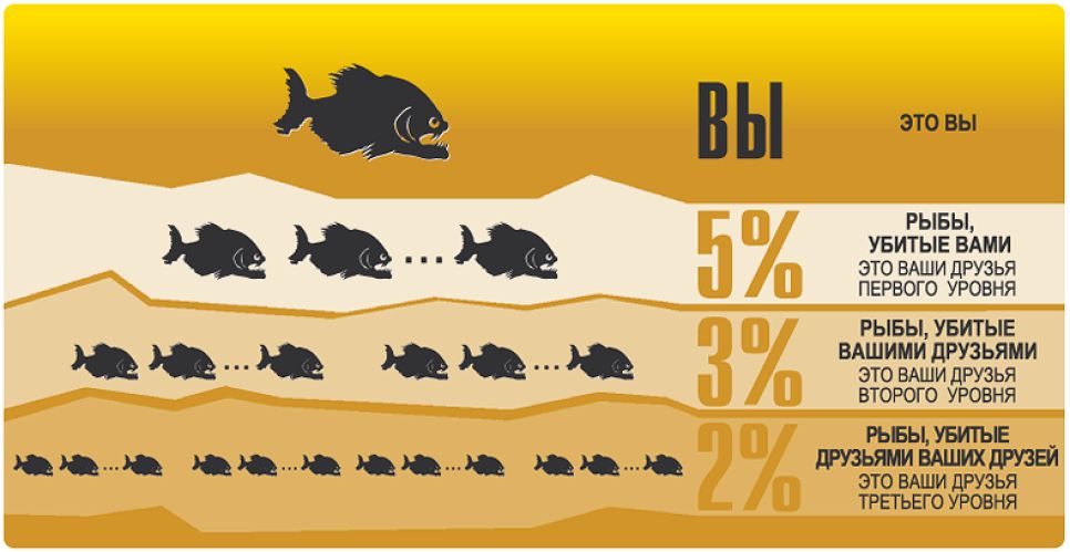 Killfish Discount Bar построит первую «пирамиду» в барнаульском общепите
