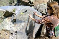 Галерея несовременного искусства: в Республике Алтай найдено уникальное собрание наскальных рисунков