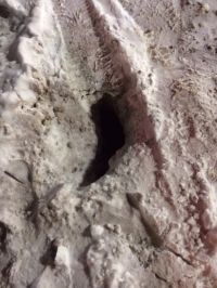 В Барнауле женщина провалилась в канализационный колодец на парковке у Дворца спорта