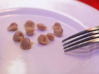 Бийский пельменинг претендует на запись в «Книге рекордов России»