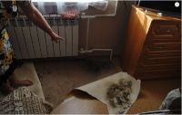 Ремонт в бийских «дефективных» домах утвердил переселенцев в желании избавиться от квартир в них