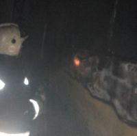 В Барнауле во время пожара сгорели три пассажирских автобуса